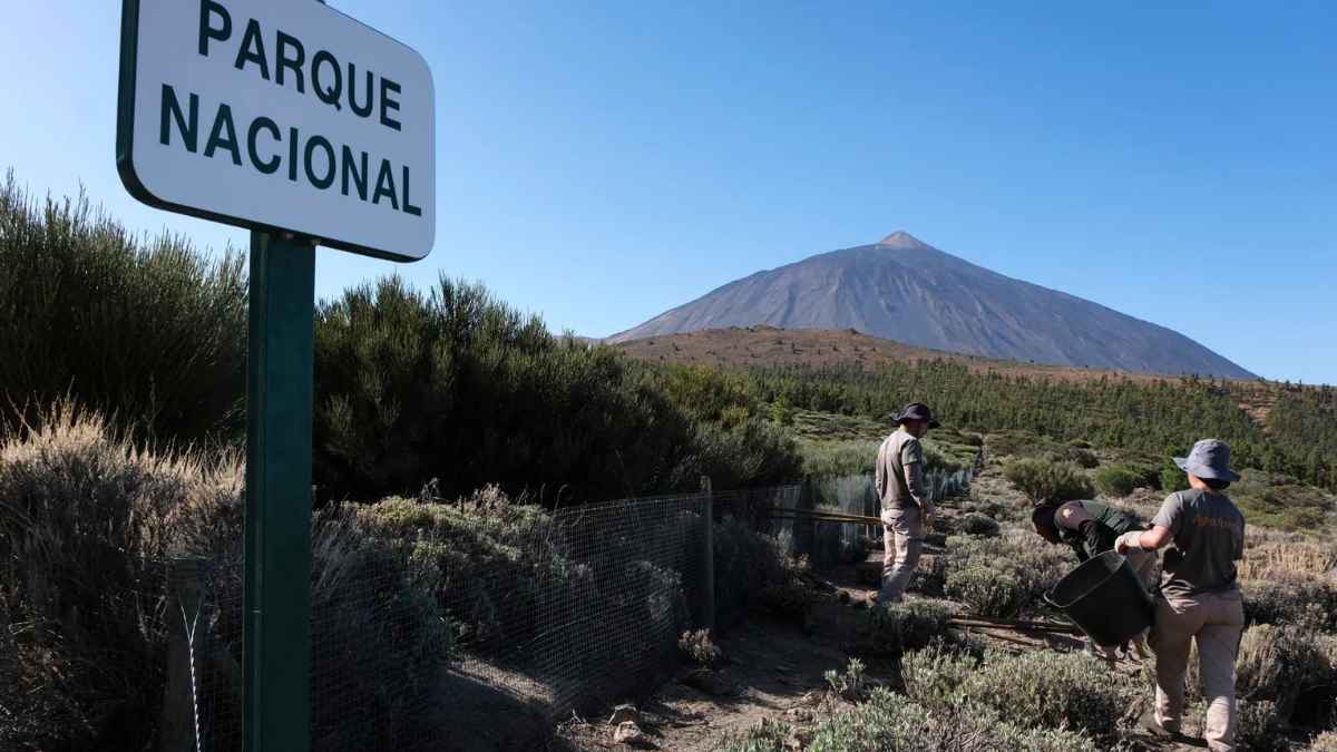 Agentes medioambientales trabajando en el Parque Nacional del Teide en Tenerife