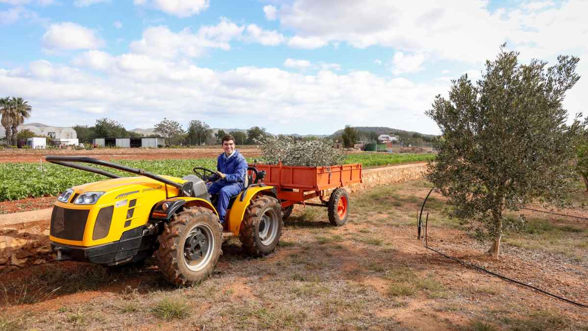 Trabajador agrícola conduciendo un tractor amarillo en una finca