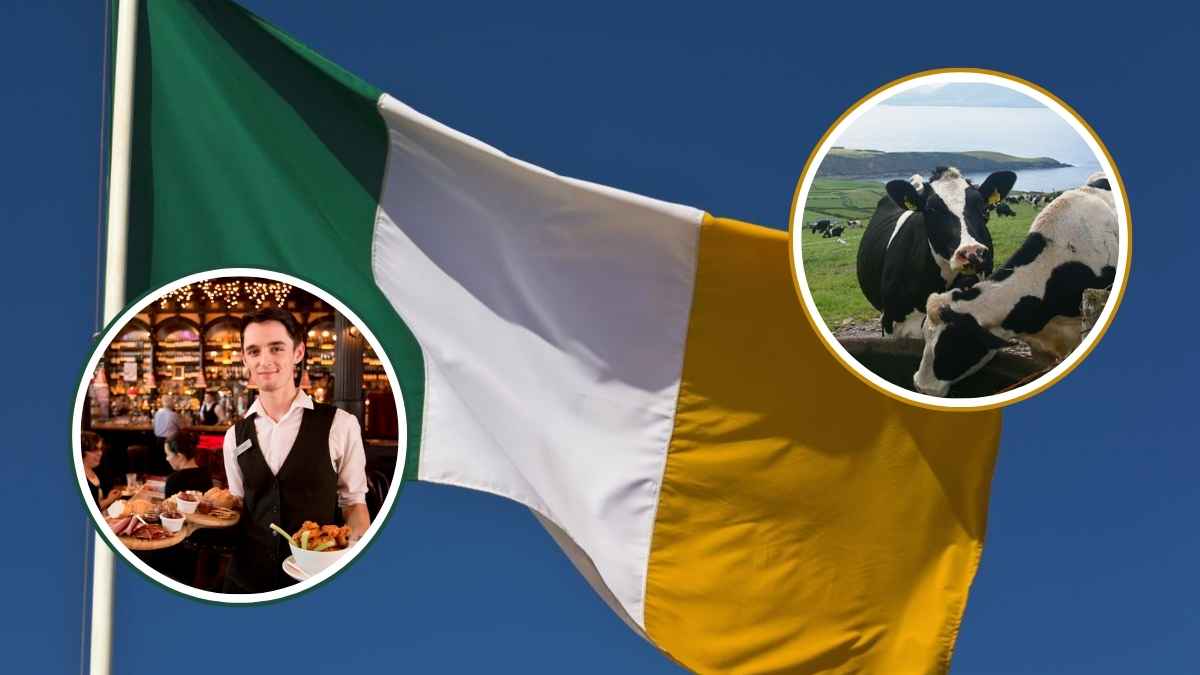 Ofertas de empleo en irlanda con EURES en sector cárnico y hostelería