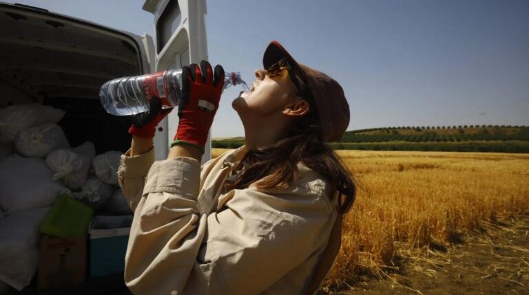 Trabajadora bebiendo agua durante una jornada laboral con altas temperaturas en verano