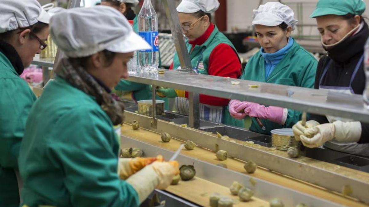 Trabajadoras en una empresa hortofrutícola durante una jornada laboral tras una pelea que terminó en despido disciplinario