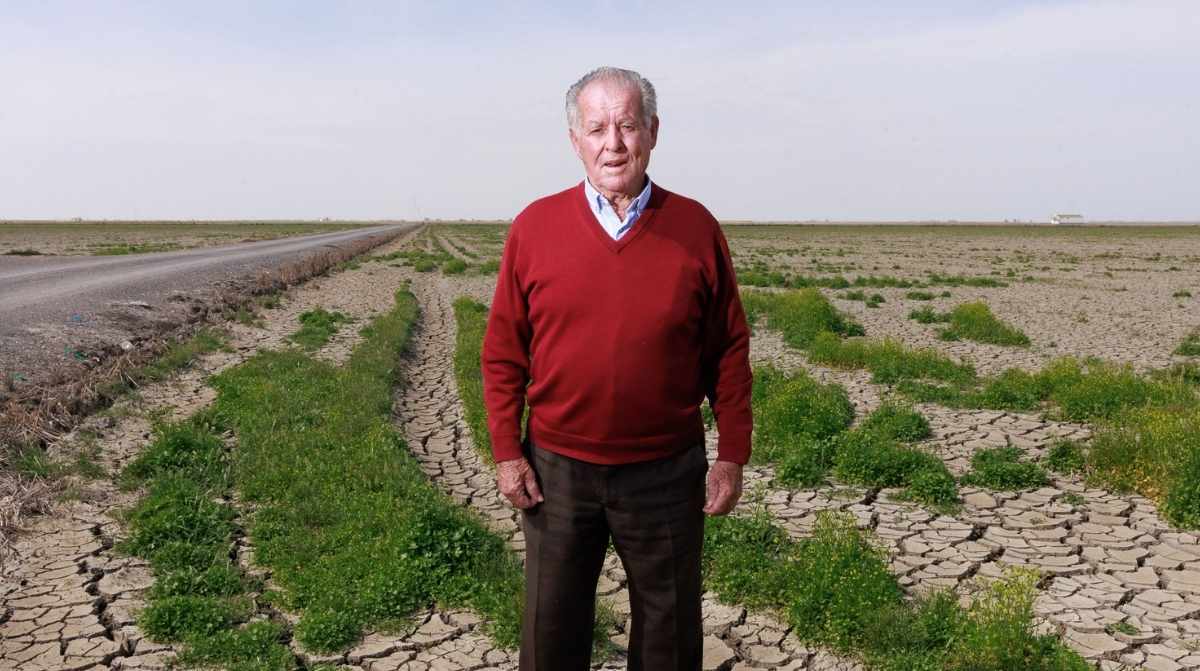 Jubilado en un campo agrícola seco tras la aprobación de la jubilación flexible para trabajar como autónomo y cobrar pensión