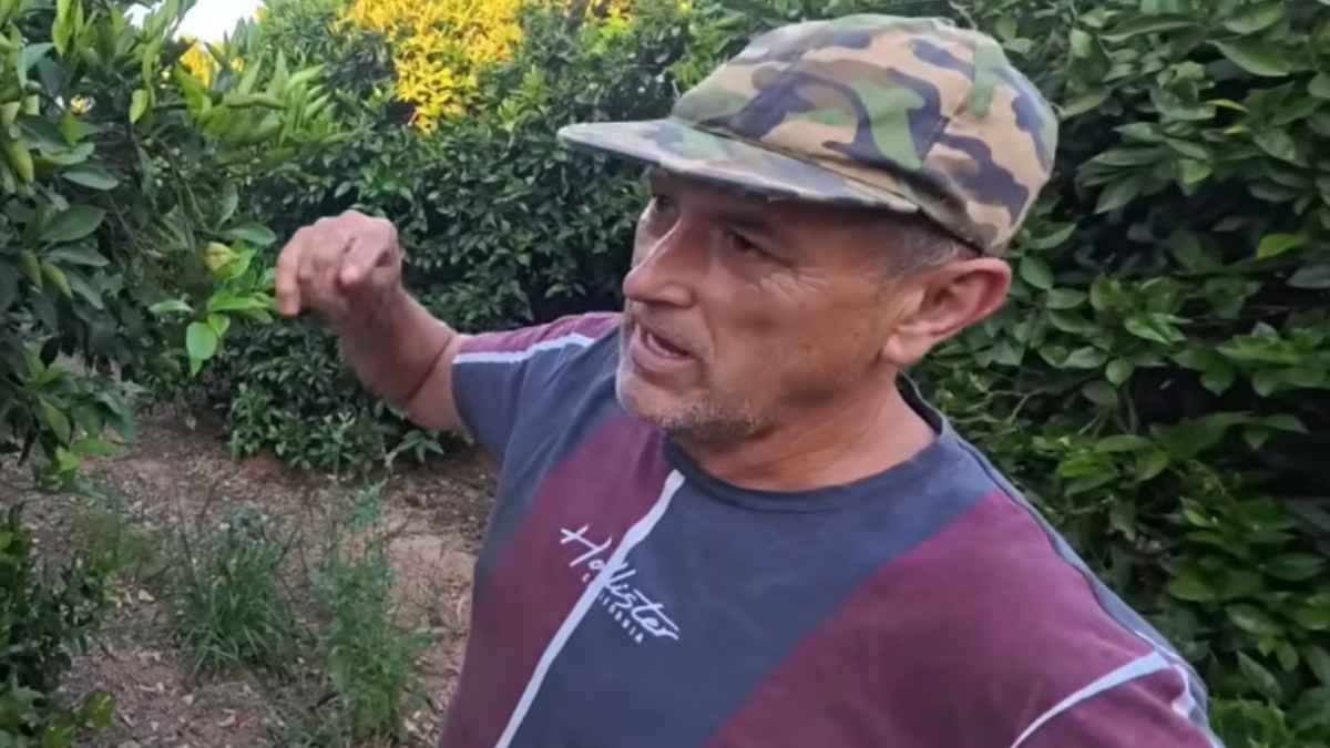 Agricultor en una plantación de naranjos explicando el cultivo tras dejar un empleo estable para dedicarse al campo.