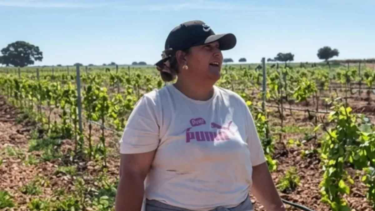 Trabajadora en una viña de Albacete durante una campaña agrícola