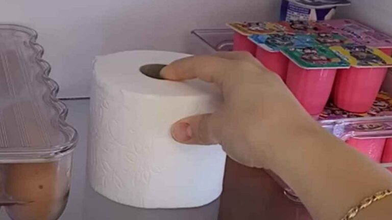 Rollo de papel higiénico colocado en una balda del interior de un frigorífico.