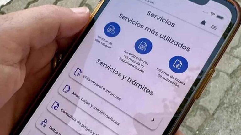 Portal Importass de la Seguridad Social abierto en un teléfono móvil para consultar vida laboral e informes