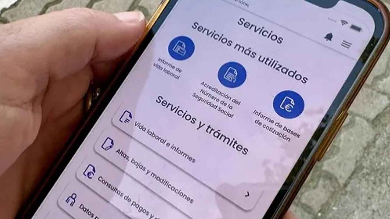 Portal Importass de la Seguridad Social abierto en un teléfono móvil para consultar vida laboral e informes