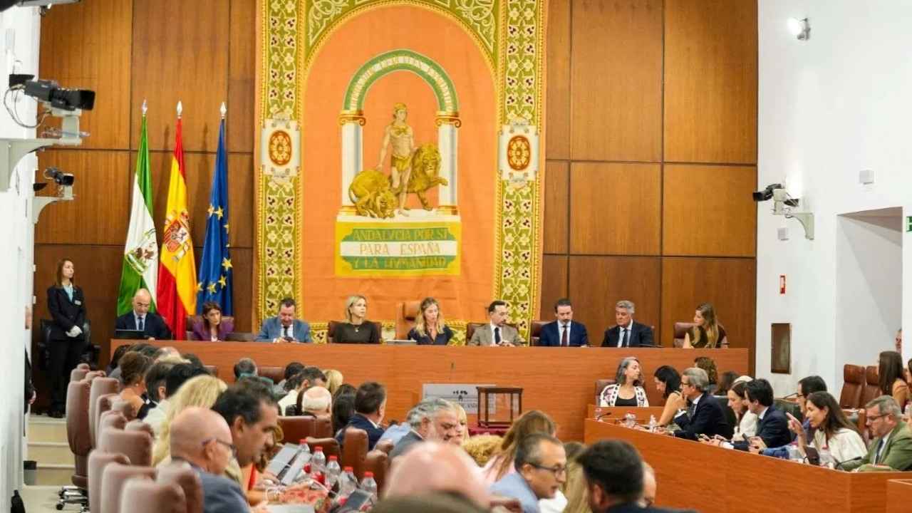 Sesión en el Parlamento de Andalucía donde se anunció la convocatoria de 1.500 plazas de catedráticos