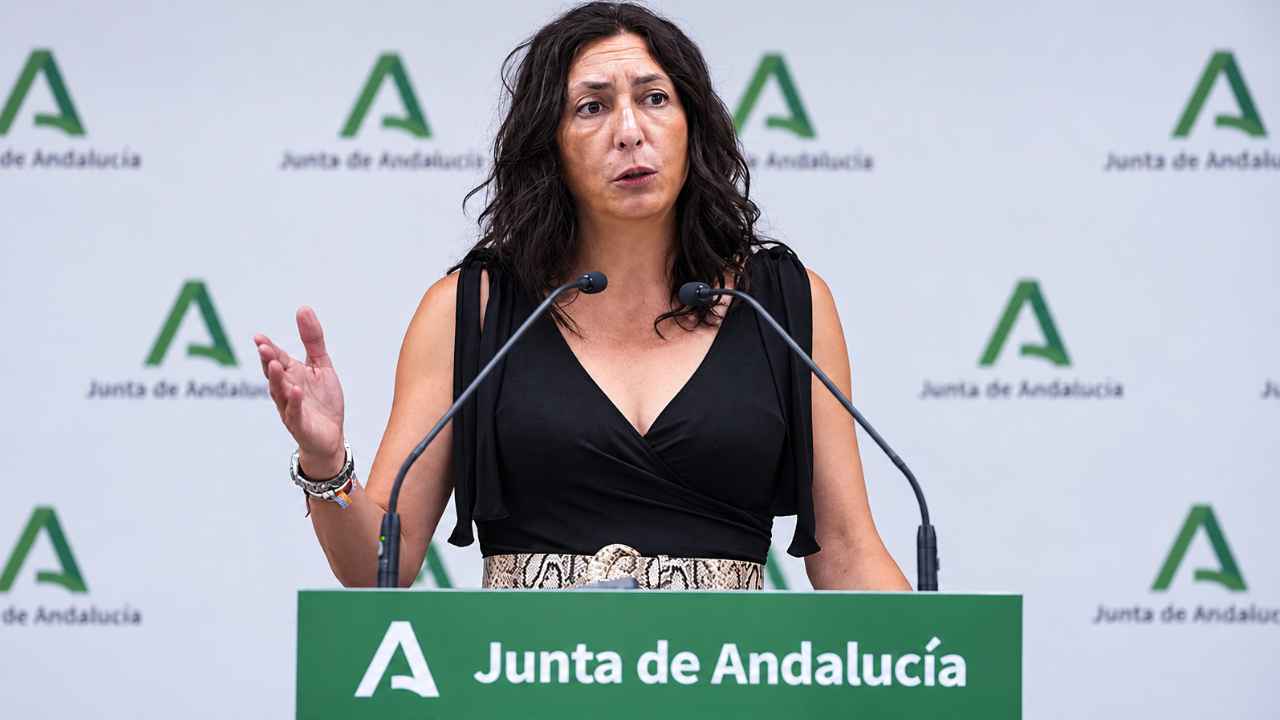 Representante de la Junta de Andalucía durante una rueda de prensa
