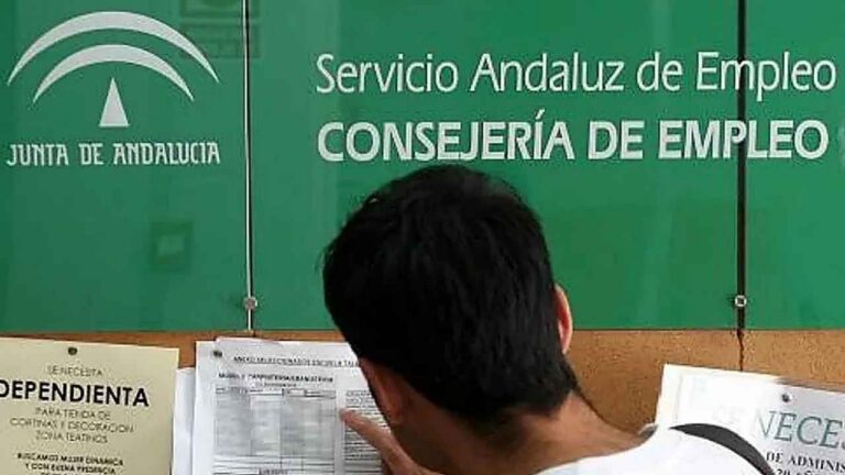 Un joven consulta ofertas de empleo en un tablón de anuncios del Servicio Andaluz de Empleo (SAE).