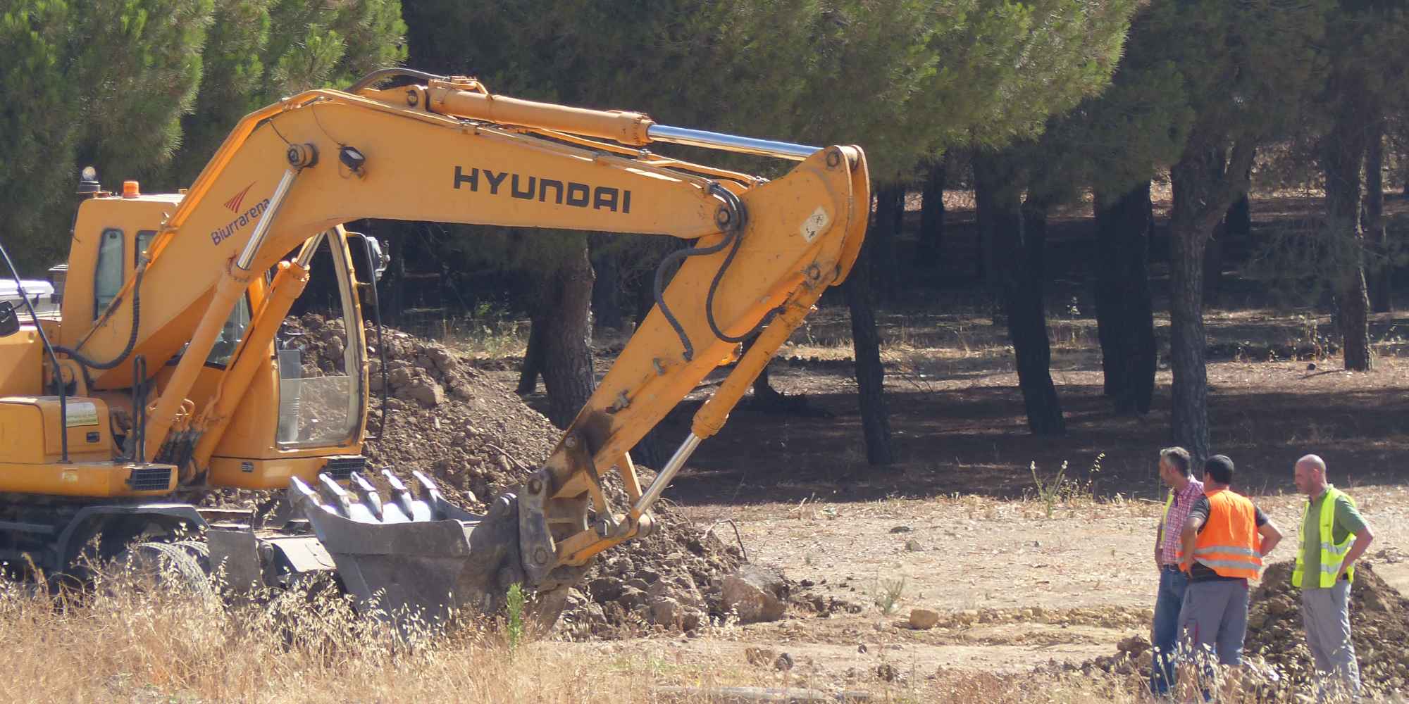Operarios junto a excavadoras en una zona de obras arbolada de Sevilla.