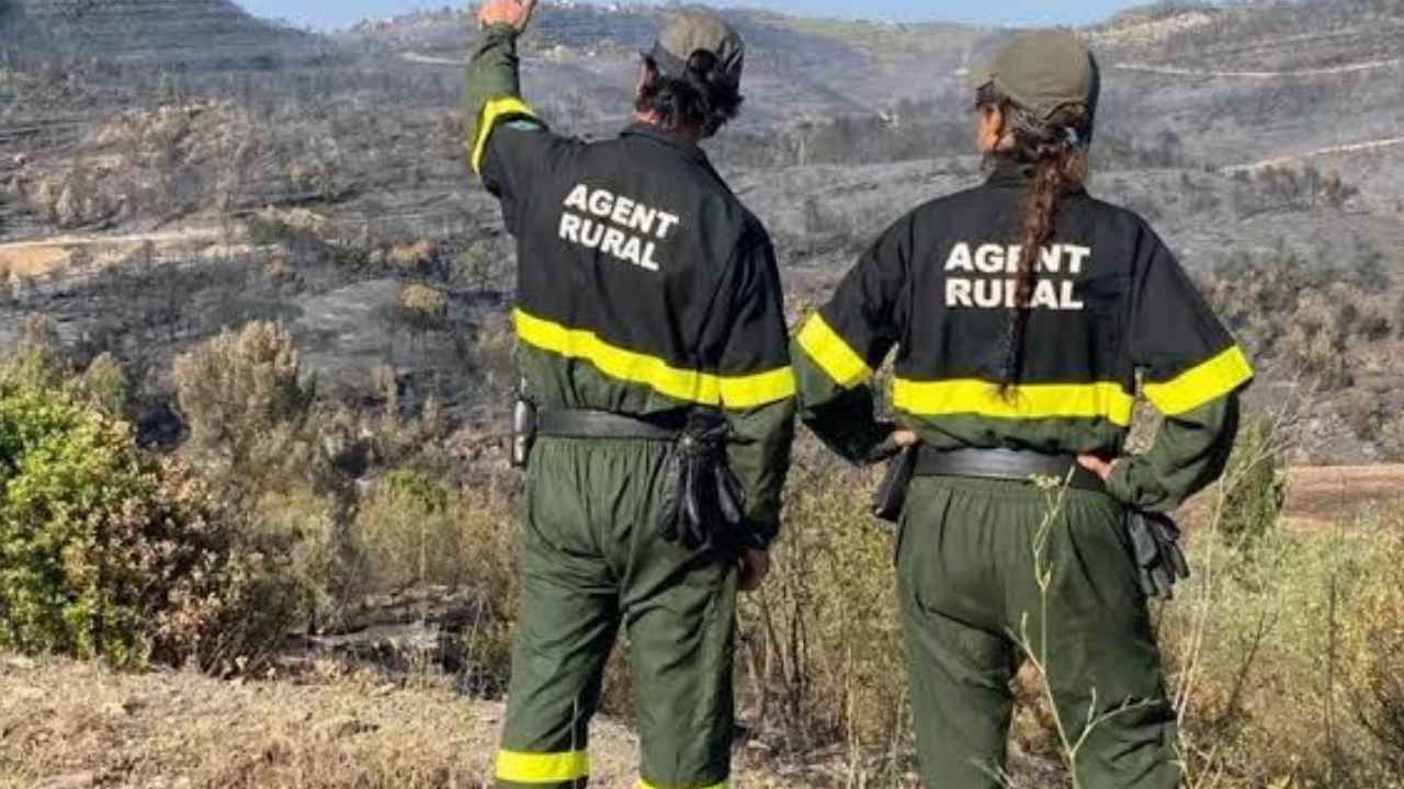 Dos agentes rurales de Cataluña observan una zona forestal desde una ladera durante labores de vigilancia del medio natural.